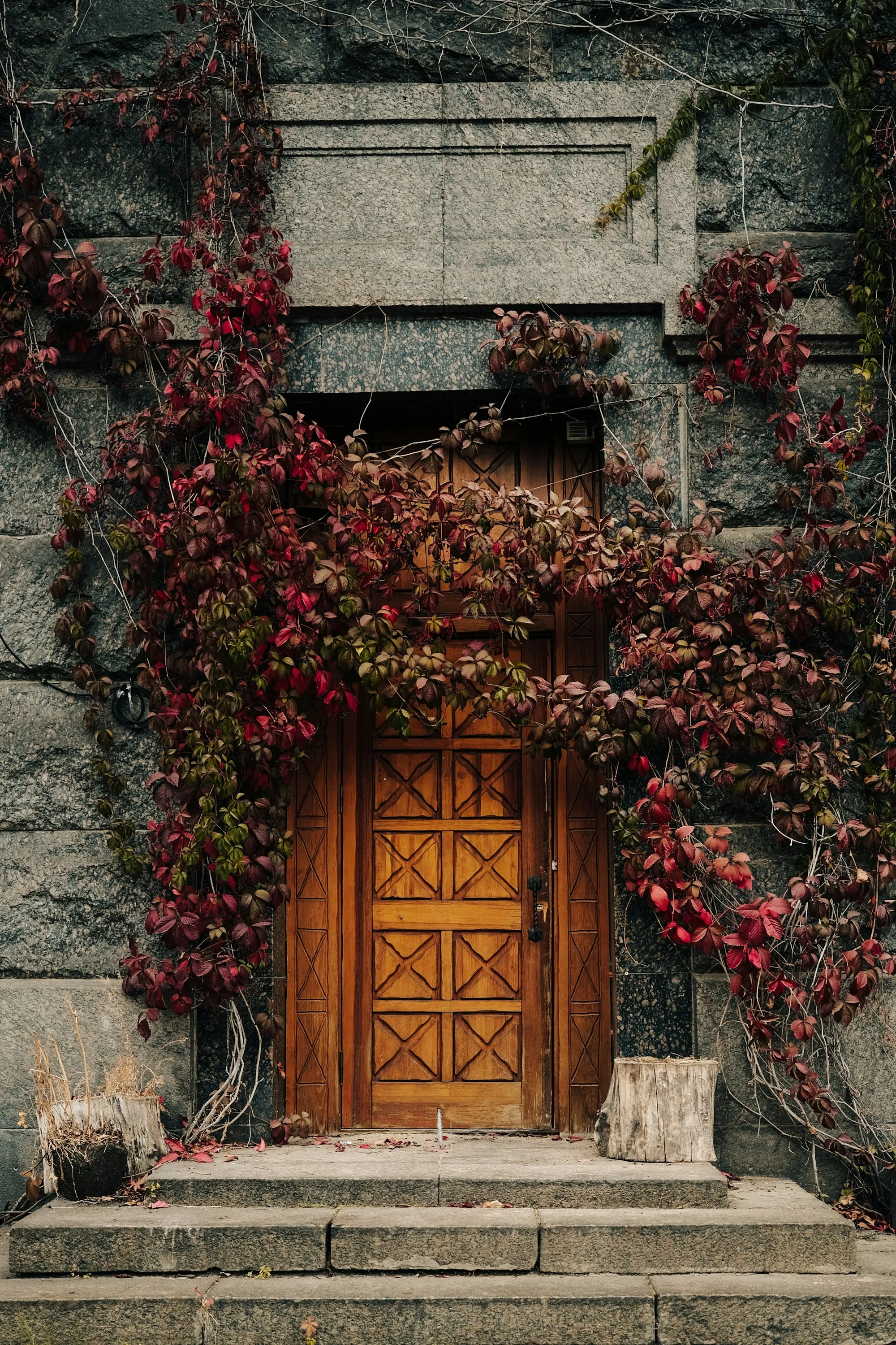 La puerta, con la parra en otoño